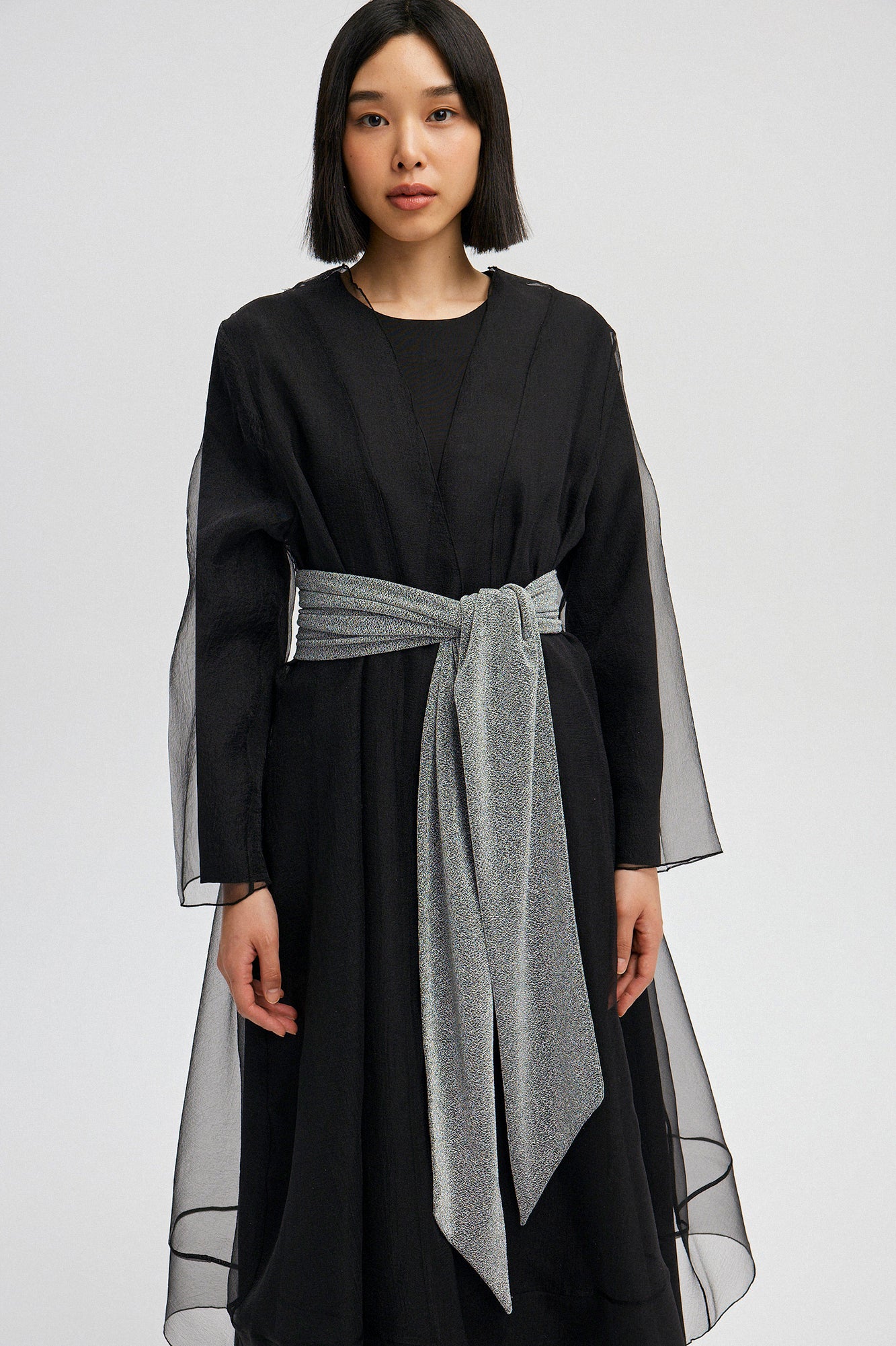 SILVERY BELT - Image 2
