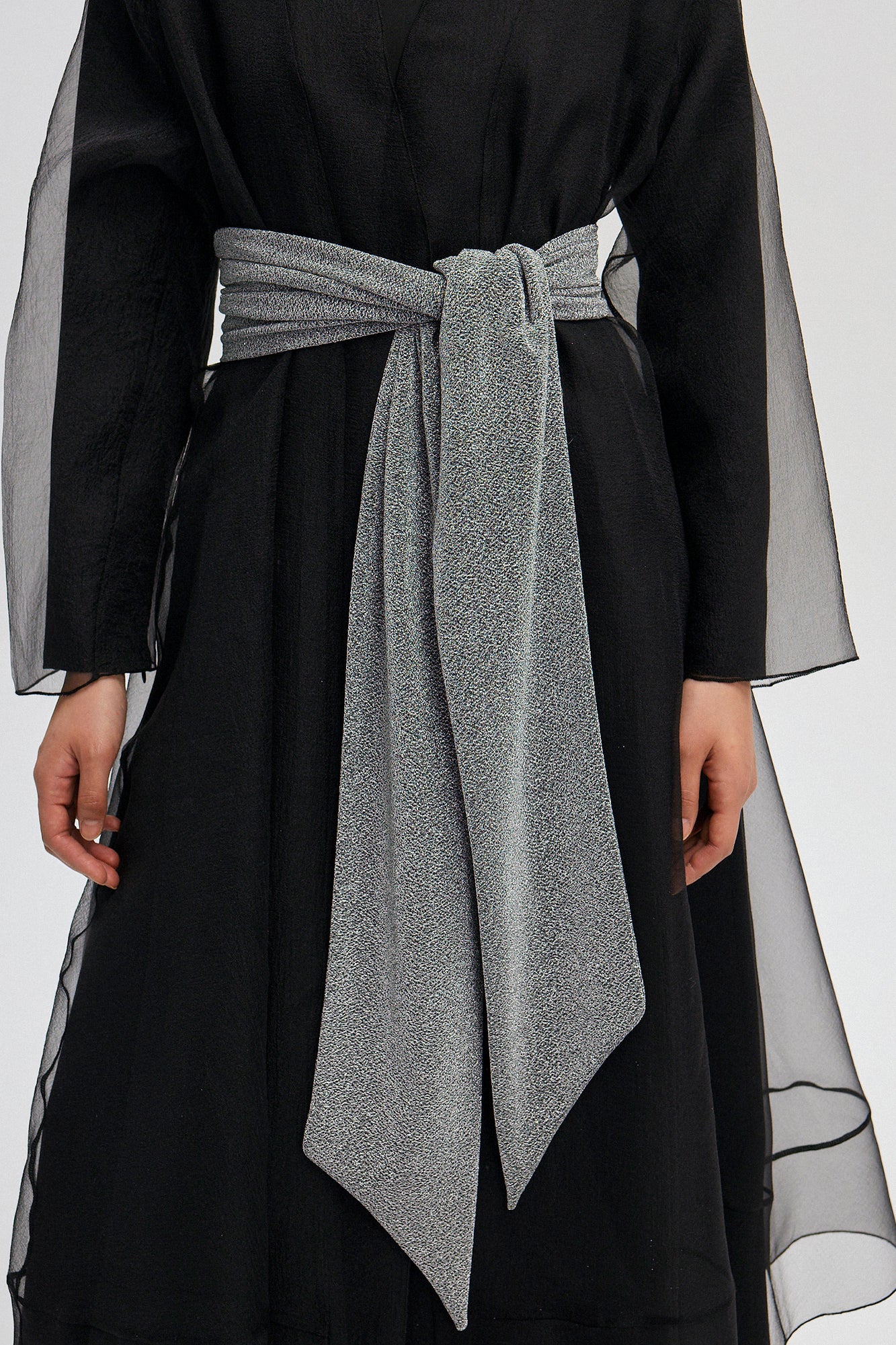 SILVERY BELT - Image 3